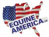 equine